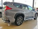 Mitsubishi Pajero 2019 - Cần bán xe Mitsubishi Pajero đời 2019, nhập khẩu 