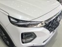 Hyundai Santa Fe 2019 - Bán xe Hyundai Santa Fe năm 2019