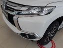 Mitsubishi Pajero Sport D4x2 MT 2019 - Bán xe Mitsubishi Pajero Sport D4x2 MT 2019, nhập khẩu