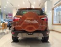 Ford EcoSport 2019 - Ford EcoSport 1.5 Titanium 2019 ưu đãi lớn