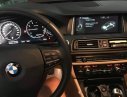 BMW 5 Series   520i   2014 - Cần bán xe BMW 520i mua 2014, đăng kí 2015, xe nhà sử dụng kĩ