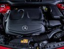 Mercedes-Benz A class A250 AMG 2016 - Bán Mercedes A250 AMG màu đỏ model 2017, đăng ký 2019, tên tư nhân chính chủ