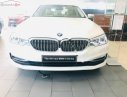 BMW 5 Series 530i Luxury Line 2018 - Bán xe BMW 5 Series 530i Luxury Line đời 2018, màu trắng, xe nhập