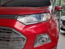 Ford EcoSport  titanium  2014 - Bán Ford EcoSport titanium đời 2014, màu đỏ, giá tốt