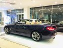 BMW 4 Series 420 Convertible 2019 - Bán xe BMW 420i Convertible mui trần mới 100%, số tự động, xe 2 cửa, 4 chỗ