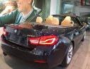 BMW 4 Series 420 Convertible 2019 - Bán xe BMW 420i Convertible mui trần mới 100%, số tự động, xe 2 cửa, 4 chỗ