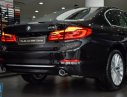 BMW 5 Series 530i 2019 - Bán BMW 5 Series 530i năm sản xuất 2019, nhập nguyên chiếc từ Đức và có sẵn để giao ngay