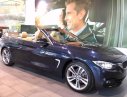 BMW 4 Series 420 Convertible 2019 - Bán xe BMW 420i Convertible mui trần mới 100%, số tự động, xe 2 cửa, 4 chỗ