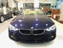 BMW 4 Series 420 Convertible 2019 - Bán xe BMW 420i Convertible mui trần mới 100%, số tự động, xe 2 cửa, 4 chỗ