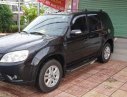 Ford Escape   2010 - Cần bán Ford Escape sản xuất 2010, màu đen, nhập khẩu, giá 450tr