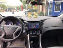 Hyundai Sonata 2.0 2010 - Cần bán Hyundai Sonata 2.0 sản xuất năm 2010, màu bạc, xe nhập