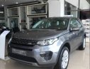 LandRover Discovery  Sport SE  2018 - Cần bán LandRover Discovery Sport SE 2018, màu xám