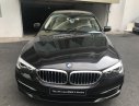 BMW 5 Series 520i G30 2018 - BMW 520i Sedan G30 All New 2019