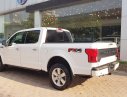 Ford F 150 2018 - Cần bán Ford F 150 Platinum sản xuất 2018 model 2019, màu trắng, nhập khẩu