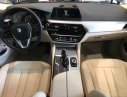 BMW 5 Series 520i G30 2018 - BMW 520i Sedan G30 All New 2019