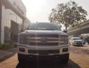 Ford F 150 2018 - Cần bán Ford F 150 Platinum sản xuất 2018 model 2019, màu trắng, nhập khẩu