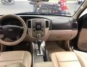 Ford Escape XLS 2008 - Bán Ford Escape XLS sản xuất năm 2008, màu đen