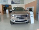 Ford Everest   Titanium AT 2019 - Bán Ford Everest Titanium AT sản xuất 2019, nhập khẩu nguyên chiếc