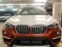 BMW X1 sDrive18i 2018 - Bán BMW X1 tại Đà Nẵng - Xe chưa đăng ký