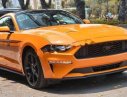 Ford Mustang 2.3 EcoBoost Fastback 2019 - Bán xe Ford Mustang 2.3 EcoBoost Fastback năm 2019, màu vàng, xe nhập