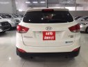 Hyundai Tucson 2010 - Bán Hyundai Tucson sản xuất 2010, màu trắng, nhập khẩu