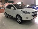 Hyundai Tucson 2010 - Bán Hyundai Tucson sản xuất 2010, màu trắng, nhập khẩu