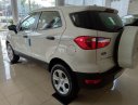 Ford EcoSport Trend 2019 - Xe giá tốt Ford Ecosport Trend AT đời 2019, đủ màu, giao ngay, xe nhập, 555 triệu, trả góp 80%, 0799 526 689