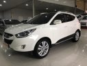 Hyundai Tucson 2010 - Bán Hyundai Tucson sản xuất 2010, màu trắng, nhập khẩu