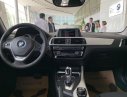 BMW 1 Series 118i 2019 - BMW 118i - Xe sang nhập khẩu giá hấp dẫn