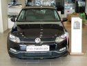 Volkswagen Polo   1.6AT   2018 - Bán Volkswagen Polo 1.6AT đời 2018, màu đen, nhập khẩu