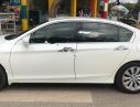 Honda Accord 2.4 AT 2015 - Bán Honda Accord 2.4 AT đời 2015, màu trắng, nhập khẩu chính chủ, giá tốt