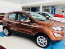 Ford EcoSport Trend 2019 - Bán xe Ford EcoSport Trend năm sản xuất 2019, màu trắng