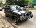 Jeep Cherokee 5.7 MT AWD 1994 - Bán Jeep Cherokee 5.7 MT AWD đời 1994, màu đen, nhập khẩu, giá chỉ 78 triệu