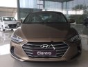 Hyundai Elantra 2.0 AT 2018 - Cần bán xe Hyundai Elantra 2.0 AT năm sản xuất 2018, màu nâu