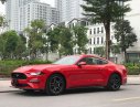 Ford Mustang Ecoboost Premium  2019 - Giao ngay Ford Mustang Premium 2019 duy nhất 1 xe có sẵn giao ngay trên thị trường giá tốt, liên hệ sơn: 0868 93 5995