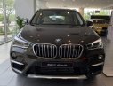 BMW X1   sDrive18i  2018 - Bán BMW X1 sDrive18i nhập khẩu nguyên chiếc từ Đức, bảo hành chính hãng 03 năm không giới hạn kilomet