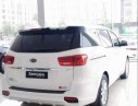 Kia Sedona 2019 - Bán Kia Sedona sản xuất 2019, màu trắng