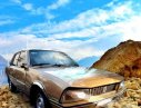 Peugeot 505 1990 - Cần bán gấp Peugeot 505 sản xuất 1990, nhập khẩu nguyên chiếc xe gia đình, 40 triệu