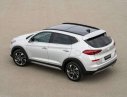 Hyundai Tucson 2019 - Bán Hyundai Tucson 2019, màu bạc, nhập khẩu, xe mới 100%
