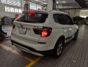 BMW X3  xDrive   2017 - Bán BMW X3 xDrive 2017, màu trắng, xe gia đình