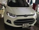 Ford EcoSport MT 2016 - Cần bán Ford EcoSport MT 2016, màu trắng, nhập khẩu nguyên chiếc, xe nhà sử dụng chính chủ