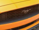Ford Mustang Ecoboost 2.3L 2019 - Bán ô tô Ford Mustang Ecoboost 2.3L năm 2019, màu vàng, nhập khẩu nguyên chiếc