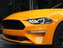 Ford Mustang Ecoboost 2.3L 2019 - Bán ô tô Ford Mustang Ecoboost 2.3L năm 2019, màu vàng, nhập khẩu nguyên chiếc