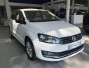 Volkswagen Polo   2019 - Bán ô tô Volkswagen Polo năm 2019, màu trắng, nhập khẩu nguyên chiếc, phân khúc B