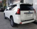 Toyota Prado VX 2.7L 2019 - Bán xe Toyota Prado VX 2.7L năm 2019, màu trắng, nhập khẩu Nhật Bản