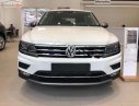 Volkswagen Tiguan Allspace 2018 - Cần bán Volkswagen Tiguan Allspace năm sản xuất 2018, màu trắng, nhập khẩu 