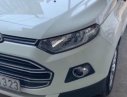 Ford EcoSport Titanium  2014 - Bán ô tô Ford EcoSport Titanium 2014, màu trắng số tự động