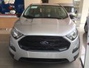 Ford EcoSport   2019 - Bán Ford EcoSport 2019, màu bạc, nhập khẩu nguyên chiếc 