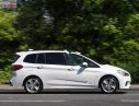 BMW 2 Series Gran Tourer 218i 2016 - Cần bán lại xe BMW 2 Series Gran Tourer 218i sản xuất 2016, màu trắng, nhập khẩu  