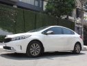 Kia Cerato  MT   2016 - Bán Kia Cerato MT đời 2016, màu trắng, nhập khẩu xe gia đình